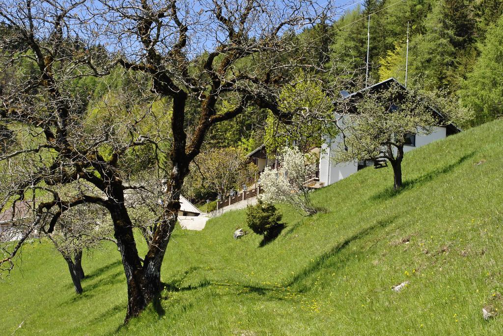 Bed&Breakfast Lausegger Ferlach Exterior foto
